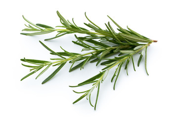 Rosemary isolated on white background, Top view.