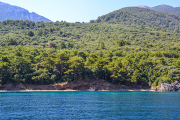 Forest and mountains on the shore of the Aegean Sea