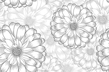 Hand-drawing monochrome seamless floral background with flowers daisy. Element for design. Vector illustration.