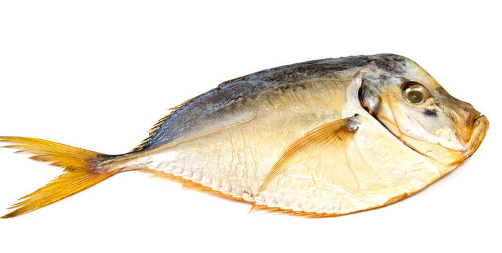 Dry  fish isolated on white background. horizontal photo.