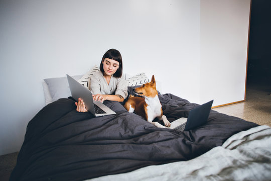 Funny adorable cute concept of woman working on laptop from her home bed and her pet dog with serious face typing with paws on keyboard of notebook computer
