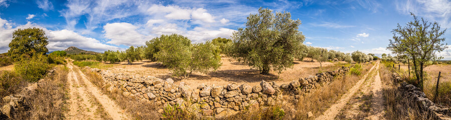 Costra Brava - Spain