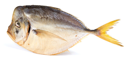 Dry  fish isolated on white background. horizontal photo.