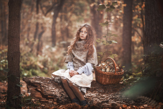 A beautiful little girl is sitting on an old log in a dense forest. The child sits on an old deck, next to it there is a full basket of mushrooms. Tinting photos.