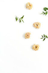 Flower border frame made of dry pastel beige roses on white background. Flat lay, top view. Floral texture background.