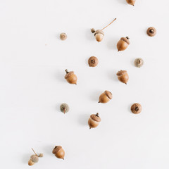 Acorns on white background. Flat lay, top view autumn fall minimal concept.