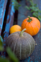 Pumpkin on wooden boards with a blurred background.