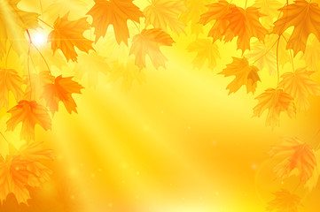 Fototapeta na wymiar Autumn background with yellow leaves