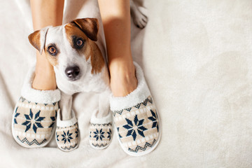 Female and dog in slippers