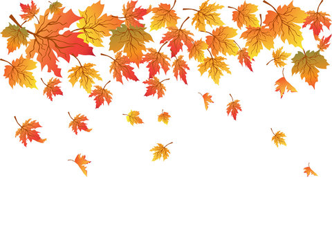falling autumn leaves, orange, yellow, red clip art preview