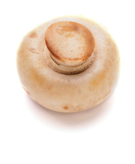 Fototapeta na wymiar White fresh mushroom in white isolated background