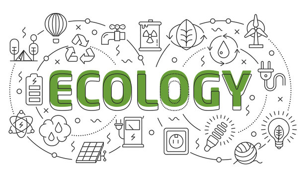 Linear illustration slide for the presentation ecology