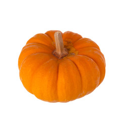 Orange pumpkin isolated on white background