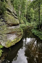 Rock by the curved river in the forest