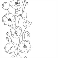 contour poppy flowers illustration vertical line border