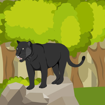 Panther on a stone against a forest, a predator. Panther icon