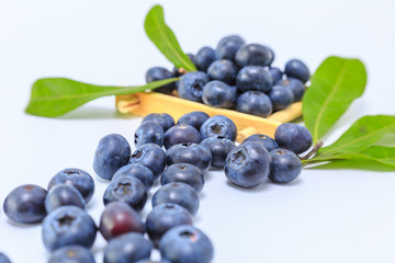Blueberry