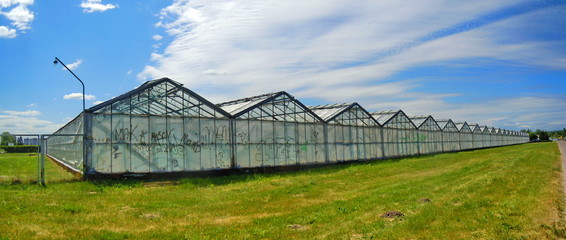 Obraz premium Panoramic view of greenhouses and gardening