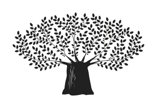 Tree, oak logo or label. Nature, ecology, environment, life, dynasty icon. Decorative vector illustration