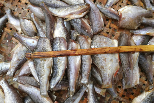 Fresh small fish saled in Thai market