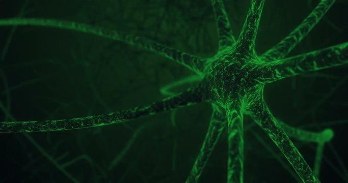 Microscopic view of neuron cell in neuronal human tissue with synapses process