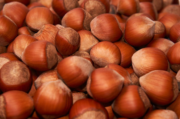 Hazelnut. Fresh organic filbert. Nuts macro. Food background.