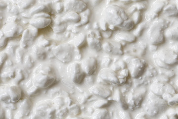 Background of plain chunky cottage cheese from above.