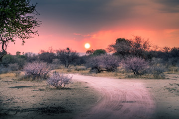 South African Sunset