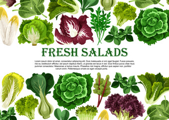 Salad leaf, vegetable greens banner border design - obrazy, fototapety, plakaty