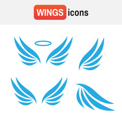 wing eagle. Wings isolated on white background. Wings set icons