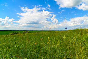 wild nature of Russia in summer in July