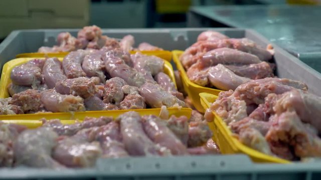 Chicken necks lying on yellow trays. 