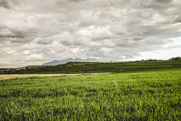 Obraz premium Paisaje lluvioso