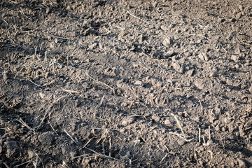 Tillage