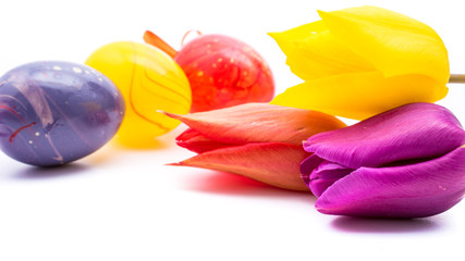 close-up of colorful easter eggs and tulip flowers on white background with copy space. border template, easter greeting and holiday card.