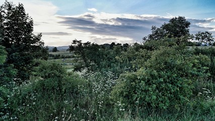 Obraz premium Wiejski krajobraz