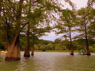 Cypress lake