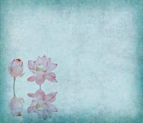 Water Lily on grunge textured background