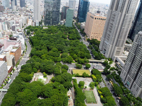 park and city view in Japan - Japan travel - photo through the glass window