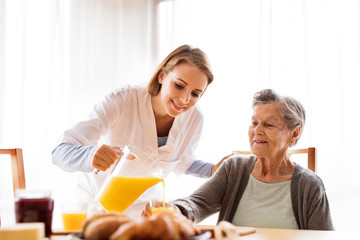 Obraz na płótnie Canvas Health visitor and a senior woman during home visit.