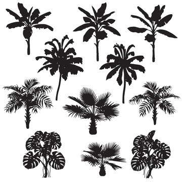 Tropical Plants Silhouette Set