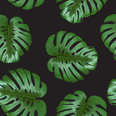 Monstera flower, tropical leaf, seamless pattern, vector illustration