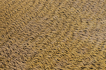 Beautiful sand formations have emerged at sea