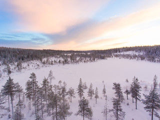 Aerial view of a Lapland winter landscape