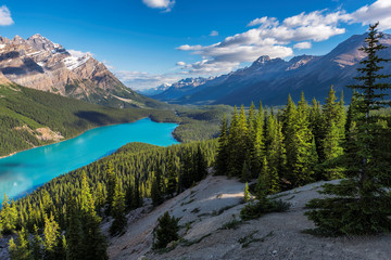 Beautiful turquoise waters of the Peyto Lake with snow-covered peaks above it in Rocky Mountains,...