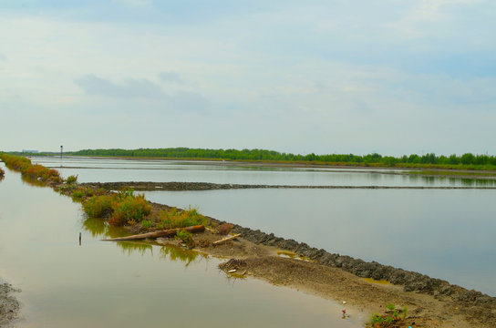 Salt Evaporation Pond In Thailand