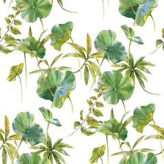 Watercolor illustration of leaf, seamless pattern on white background