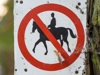 Horse riding prohibited or forbidden sign in black, white, red in forest near Berlin, Germany