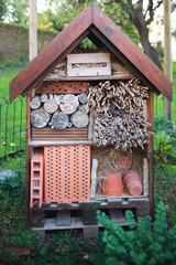 abris insecte