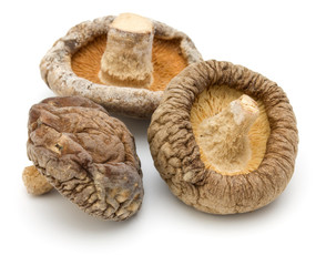 Dried Shiitake Mushroom isolated on white background